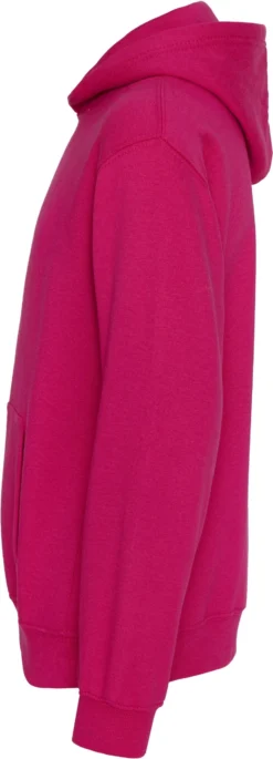 Kinder Hoodie 8 Kinder Hoodie -Modebe Kleidung Geschäft Just Hoods Kids Hoodie others 2 scaled 1