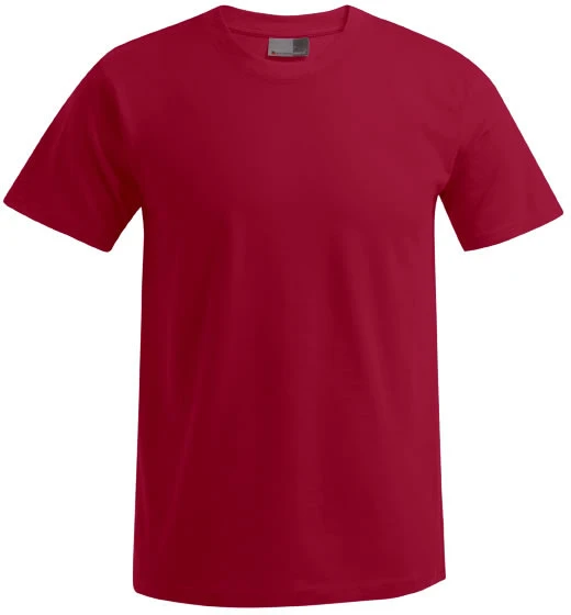 Herren Premium T-Shirt 1 Herren Premium T-Shirt