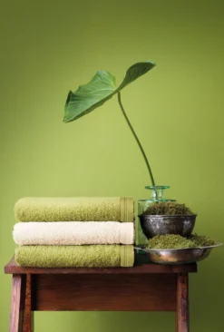 Vossen Vegan Life Duschtuch