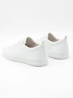 Kennel & Schmenger 31 24520 Sneakers BIANCO SW 8 Kennel & Schmenger 31 24520 Sneakers BIANCO SW -Modebe Kleidung Geschäft kennel en schmenger sneaker 31 24520 2